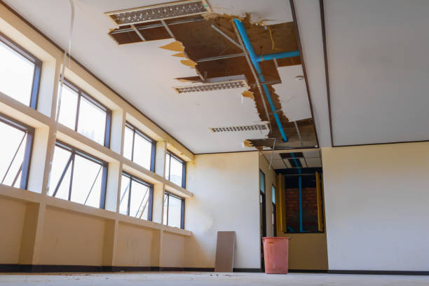 Best Professional water damage repair  in Ladson, SC
