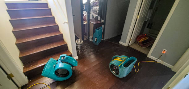 Best Local water damage restoration  in Ladson, SC