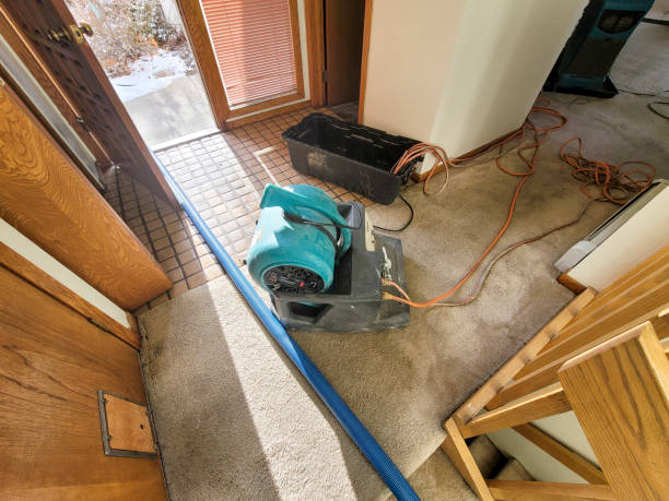 Best 24-hour water damage restoration  in Ladson, SC