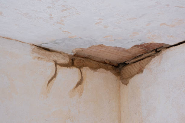 Best Flood restoration services  in Ladson, SC