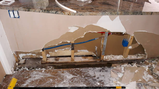 Best Local water damage restoration  in Ladson, SC