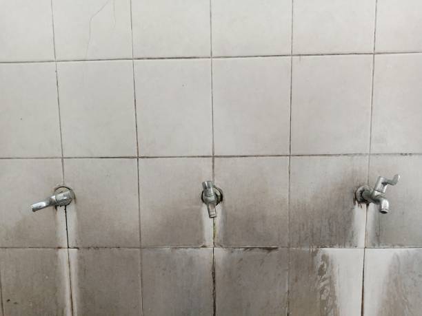 Professional Water damage restoration in Ladson, SC