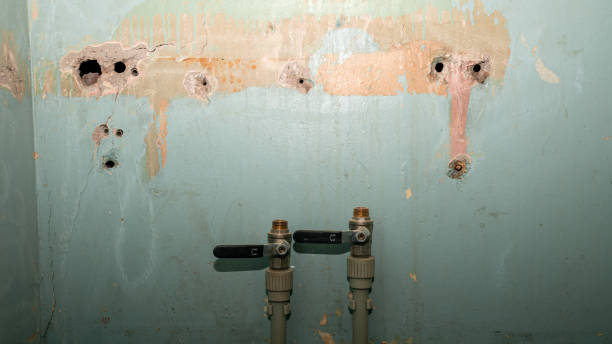Best Water damage restoration near me  in Ladson, SC